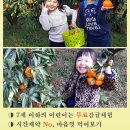 애월오후 민박 이미지