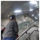 (주)엑스엘소프트 | 타본좌의 지스타 2014 관람 후기