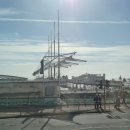 세븐피시 이미지