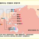 월간개벽 5월호 : 새 문명 창조의 전환점, 전염병 이미지