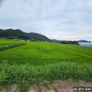 미력면사무소 이미지