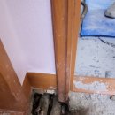 청솔아파트(신설) 이미지