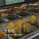 대전 성심당 망고시루 과일시루 솔직후기, 임산부 할인 프리패스 준비물