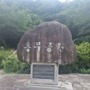 신광보건지소 Daum카페