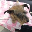 동구LPG충전소 이미지