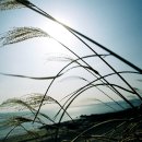 강변서로 이미지