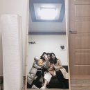 대구 커피 맛집, 카페 더 아양, 경산파스타부오노, 친스타그램, 인생 4컷, 청도 나들이, 놀러 가고 싶은 날
