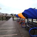 새천년공원길 이미지