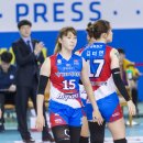 김천실내체육관 이미지