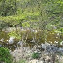 덕동자동차야영장 이미지