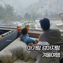 아기강아지 | 강원도 평창 애견동반 숙소 추천 | 몬티첼로 펜션 온수 스파 후기 (아기·강아지 동반)