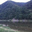 천제당민박 네이버블로그