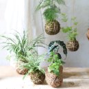 꽃 클래스 화훼장식기능사 이미지