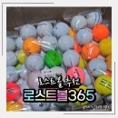 로스트볼365
