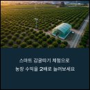연동농장 | 감귤따기 체험 시스템, 제주농장에 도입된 디지털 혁신