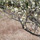 제주풍경스케치 이미지