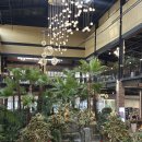 경춘대로 | 이천 초밥 맛집 경춘스시 연어초밥, 돈까스, 치킨킨가라아게 먹고 온 솔직후기