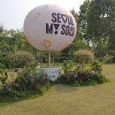 나라꽃 미니정원 이미지