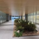 청계중앙공원 1 이미지