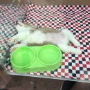 천호마스타 이미지