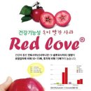 러브레드