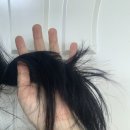 [후기] 미쟝센 SALON PLUS CLINIC 10 4N 차콜 브라운
