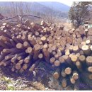 재열농장 이미지