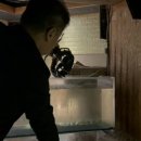 해적바다실내낚시터 이미지