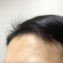 오늘 머리합시다