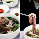 낙지천국 이미지