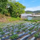 성결농장 이미지