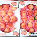 언덕위에 풍차 이미지