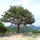 서호동-46 이미지