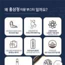 농협홍삼한삼인청주금천점