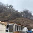 산새음