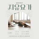 솔필라스튜디오 | 마린시티 솔필라앤번지 포항 혜일 요가 원데이클래스 워크샵