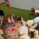 사랑으로유치원 이미지