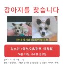 금성길 이미지