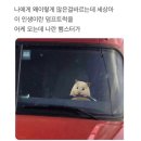 럭키뽑기방 이미지