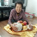 애향초등학교 이미지