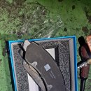 허머모터스 이미지