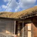 혁이네 민박 이미지