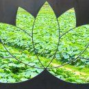 강풍경 파크 이미지