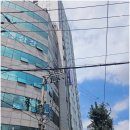 세무회계윤 이미지