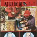 시나브로 Daum카페