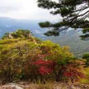 가보세나