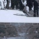 낭만포레 이미지