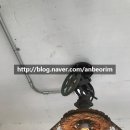 안버림연구소