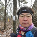 밤재 등산로 | 주왕지맥 마지막 제4구간 밤재에서 평창강 합수점까지 산행후기