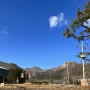 양지다실 - 세종특별자치시 금남면 | 양지다실